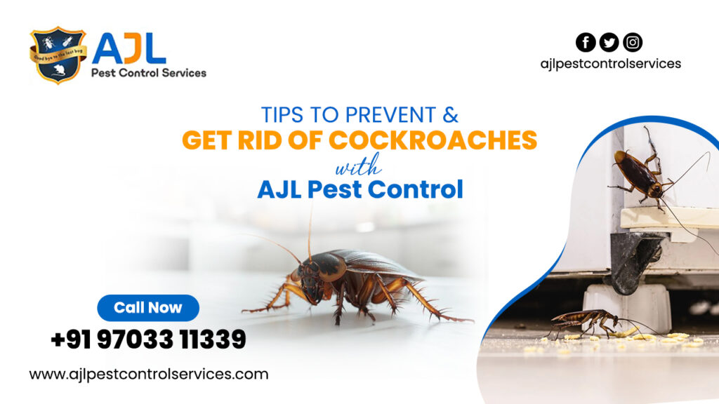 Get Rid of Cockroaches