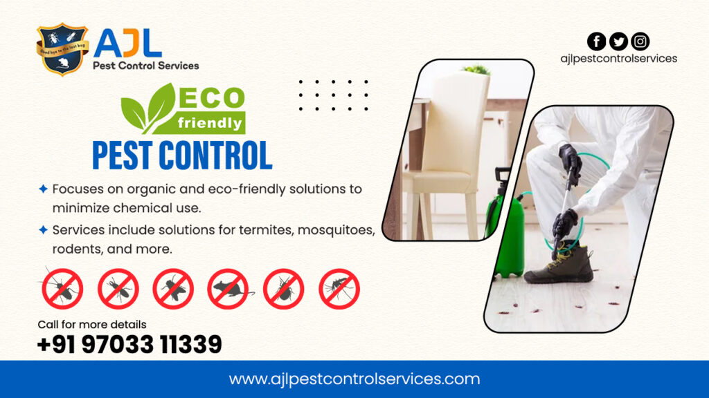 DIY vs. Professional Pest Control
