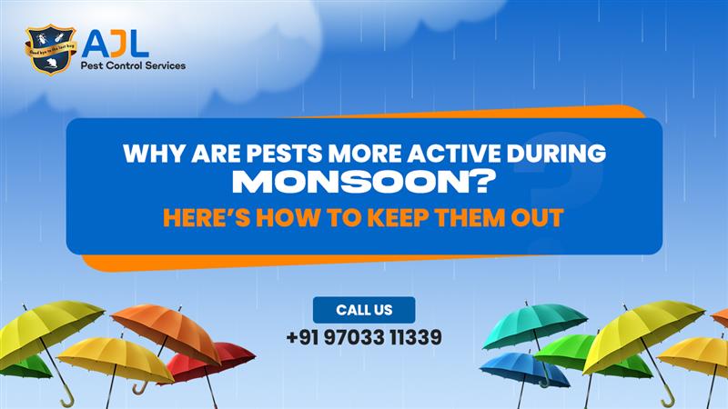 pests control