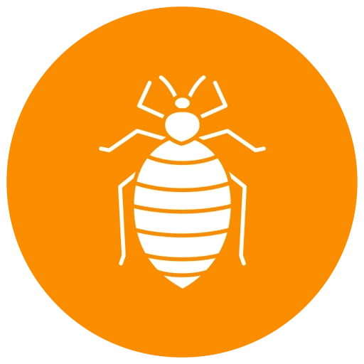 Bed Bug Control