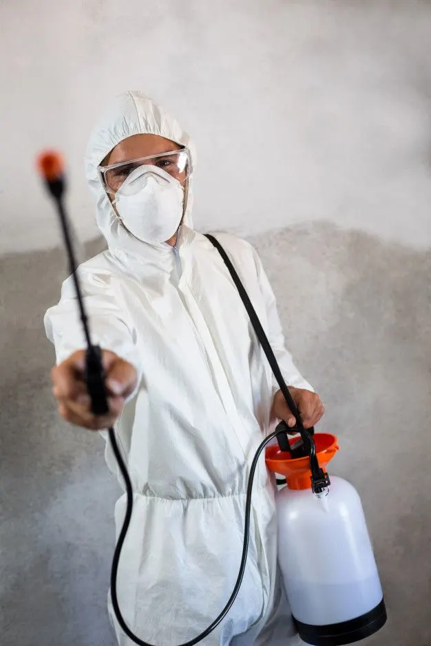 Best Pest Control Services in Hyderabad